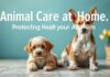 Evde Hayvan Bakımı: Hayvanların Sağlığını Korumak Animal Care at Home: Protecting the Health of Animals