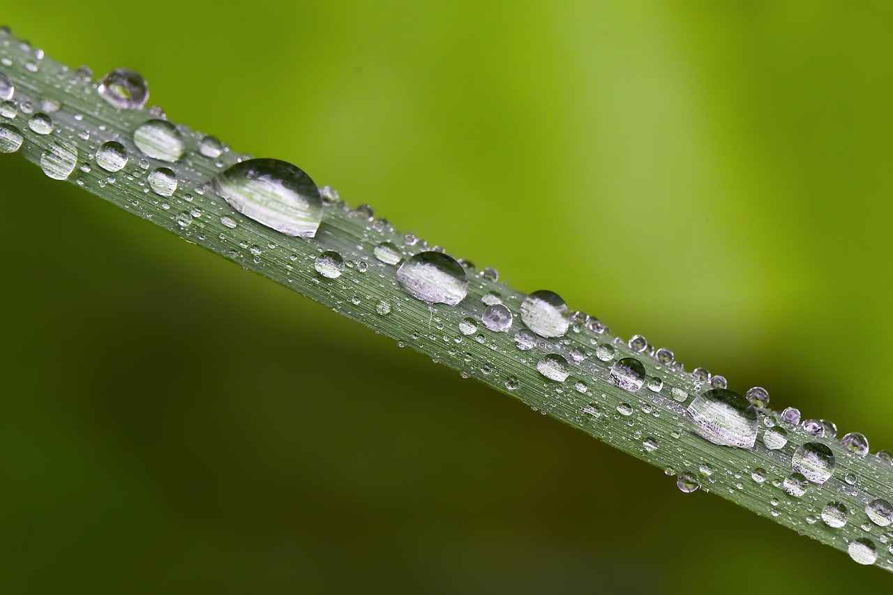 Bit İlaçları Nedir?