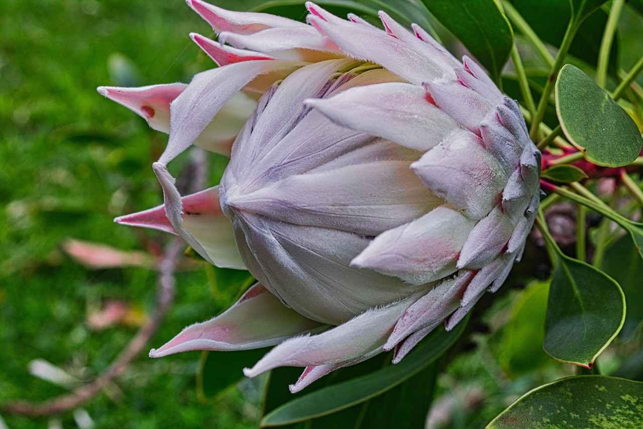 Bit İlaçları: Yan Etkileri ve Kullanım Önerileri