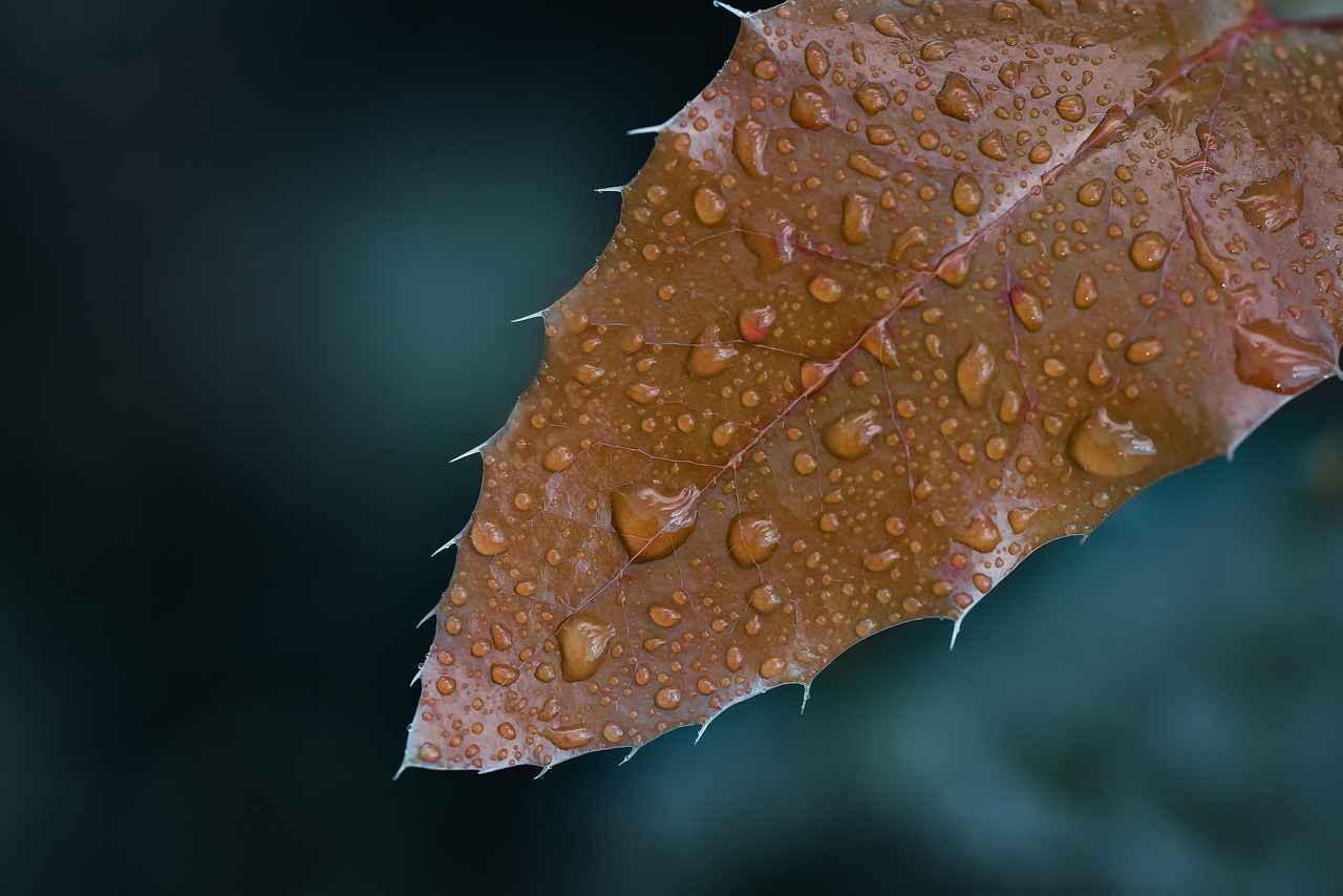 Evde Uygulanabilir Yöntemler