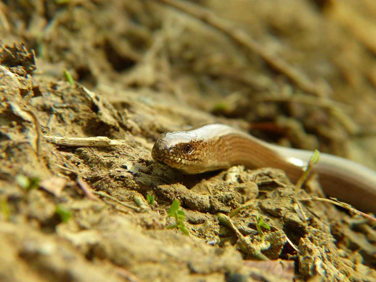 5. Eğitim ve Bilinçlenme