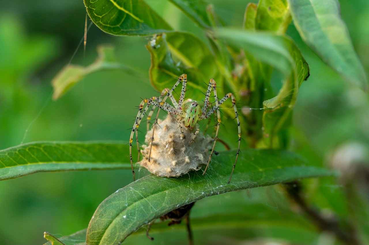 Bit Nedir ve Neden Olur?