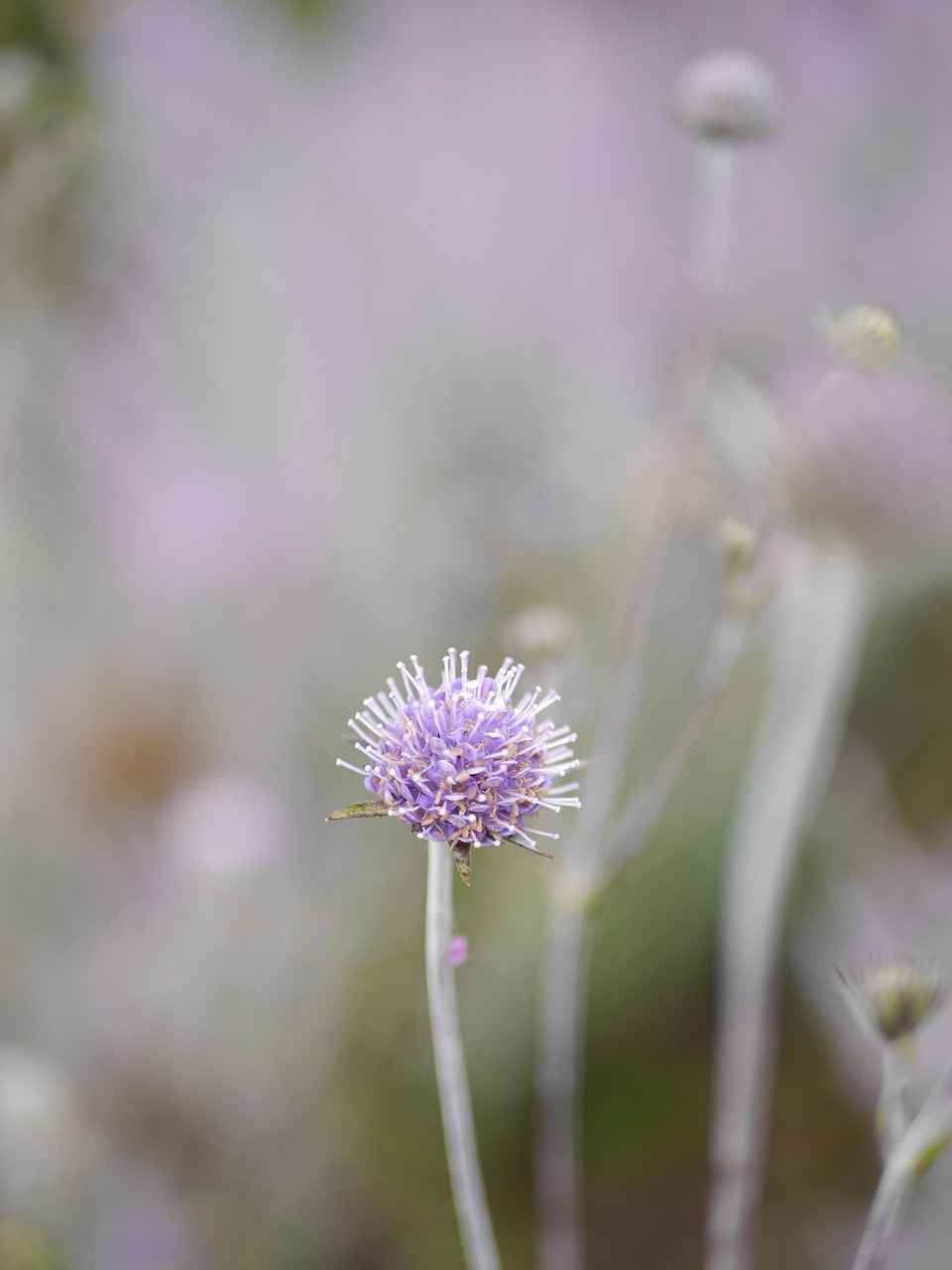 [Yetersiz Önlem Alma]
