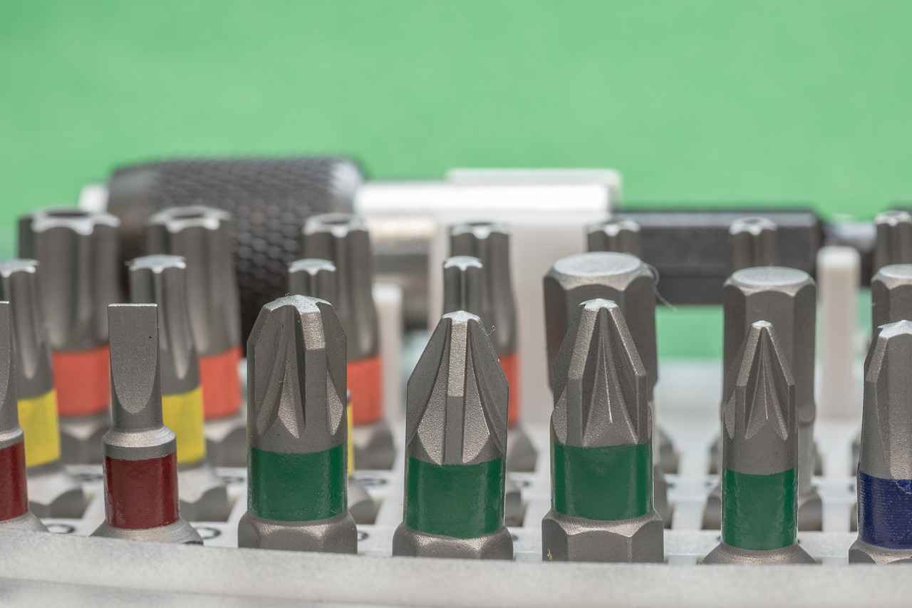 Bitlerin Doğası ve Yaşam Döngüsü