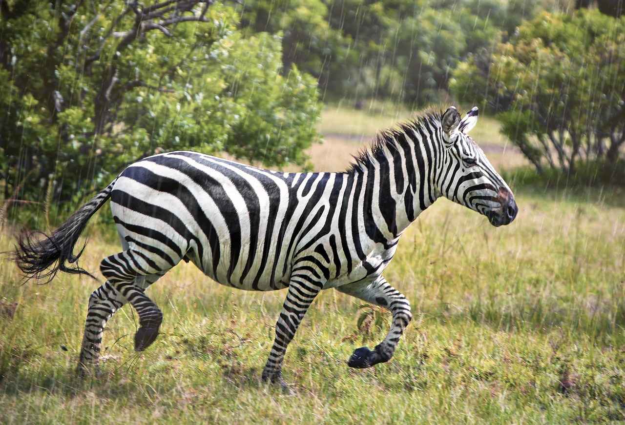 Kene İlaçlarının Yan Etkileri ve Dikkat Edilmesi Gerekenler