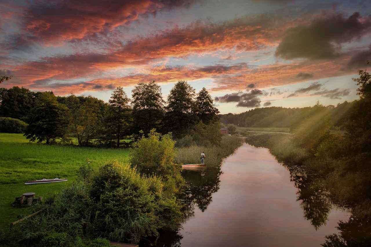 Pire İlaçları ile Evde Temizlik Rehberi