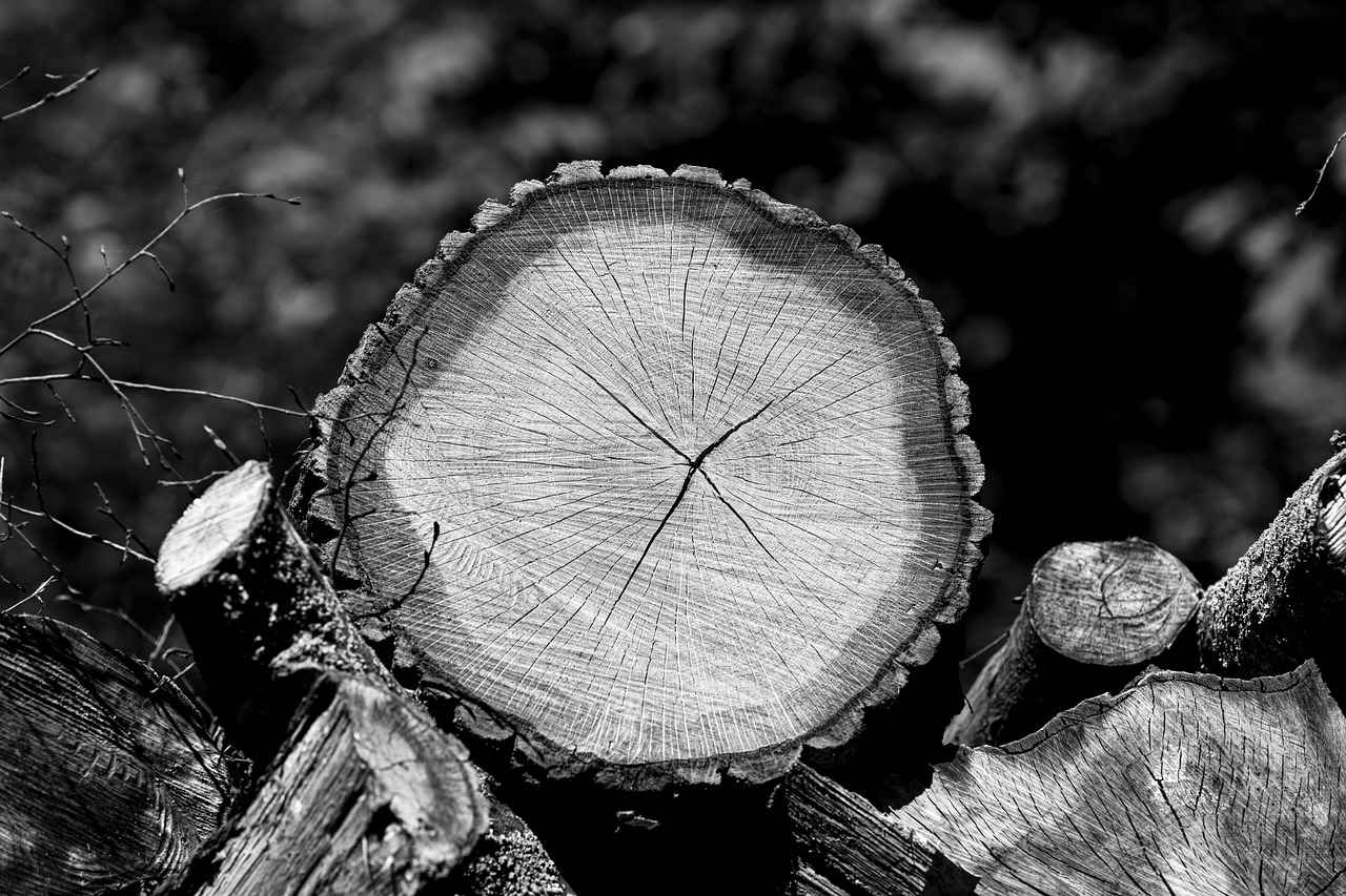 Pire İlaçları ile İlgili Sık Sorulan Sorular